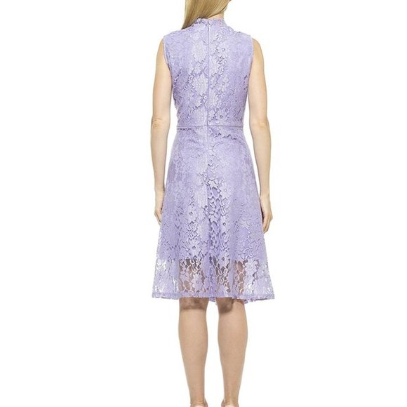 Alexia Admor Luna Lace Fit & Flare Midi Dress NWT - Picture 3 of 8